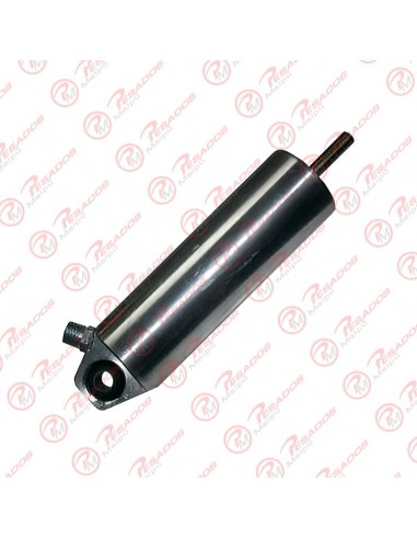 Cilindro Pare Motor Accelo/914 Knorr...