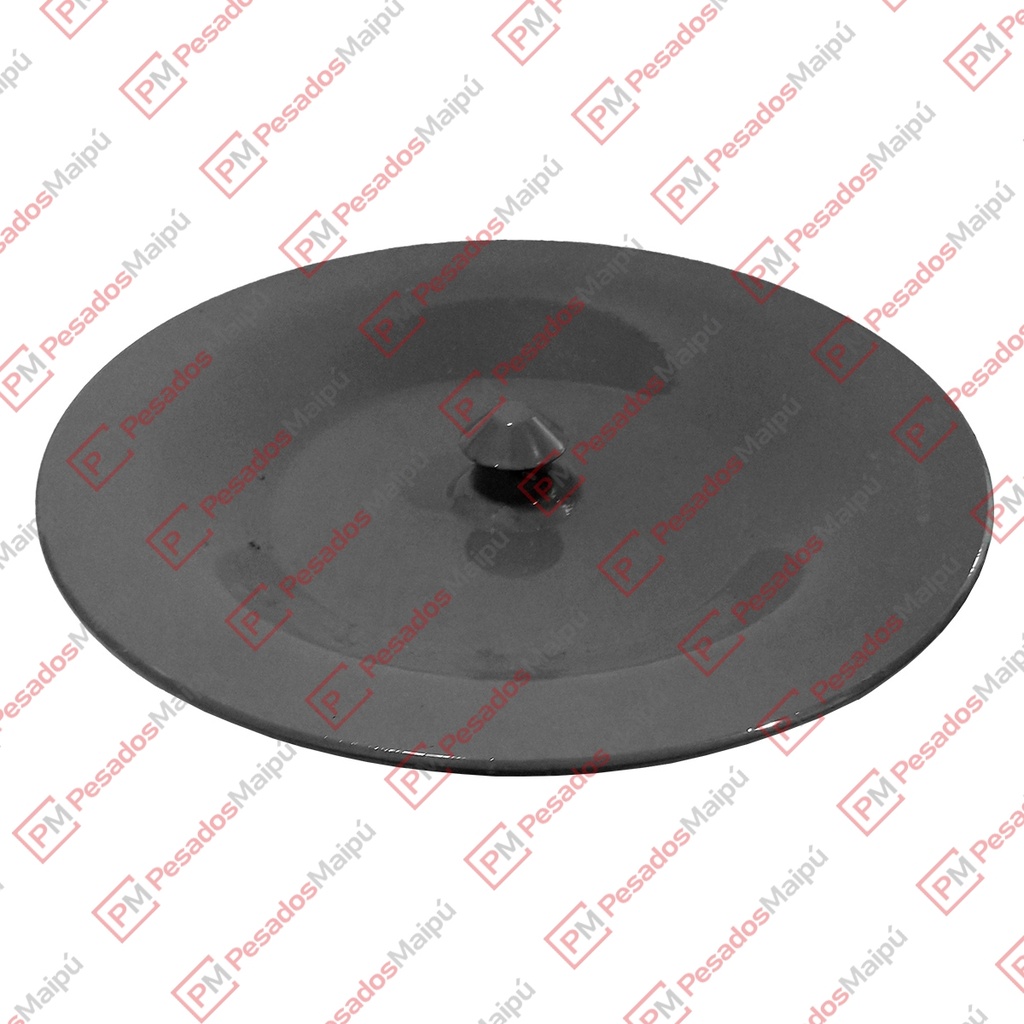 [08937] PLATINA FUELLE SUSPENSION (4521)