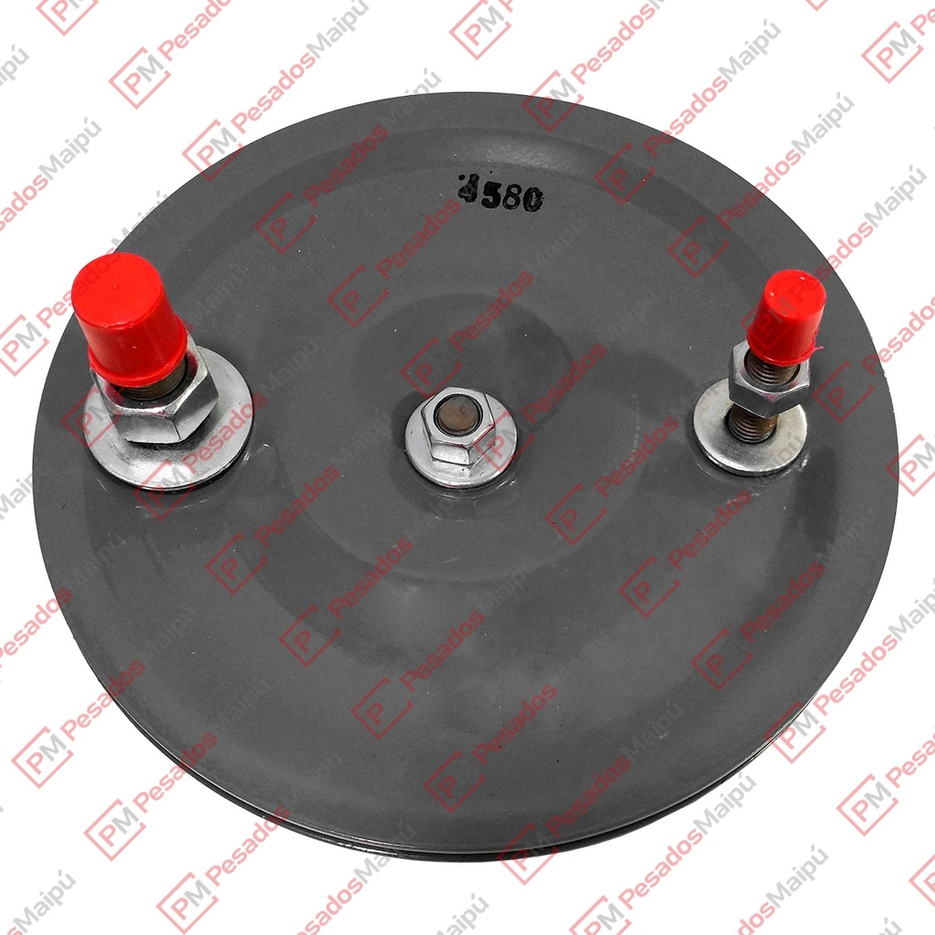 [08939] PLATINA FUELLE SUSPENSION (4580)
