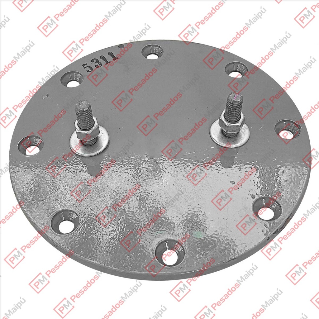 [08946] PLATINA FUELLE SUSPENSION (5311)