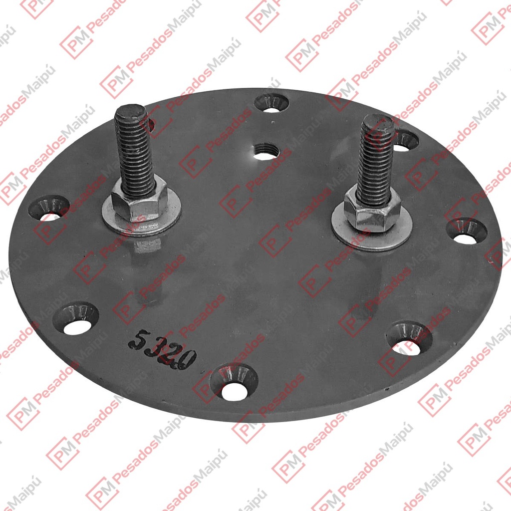 [08947] PLATINA FUELLE SUSPENSION (5320)