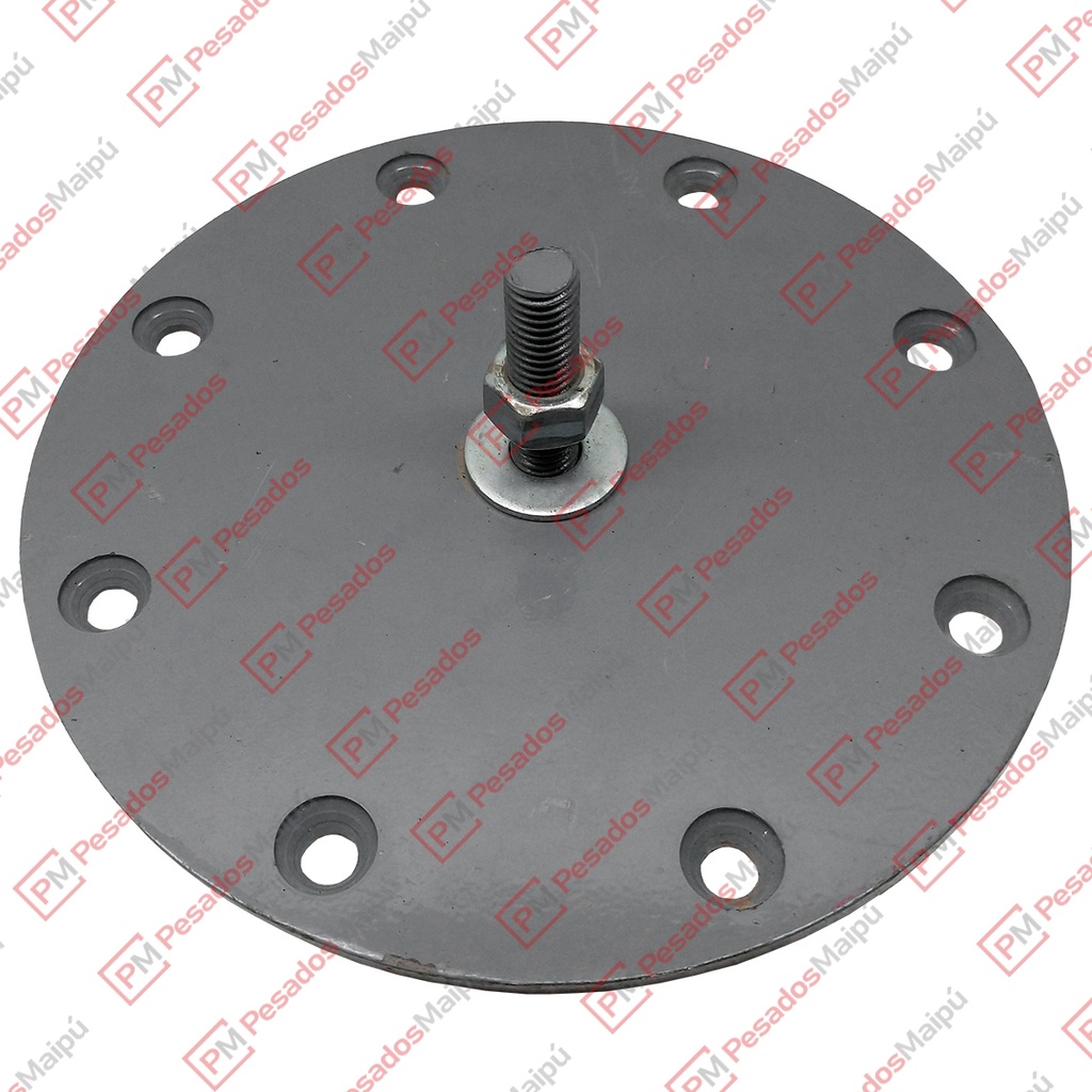 [08952] PLATINA FUELLE SUSPENSION (5341)