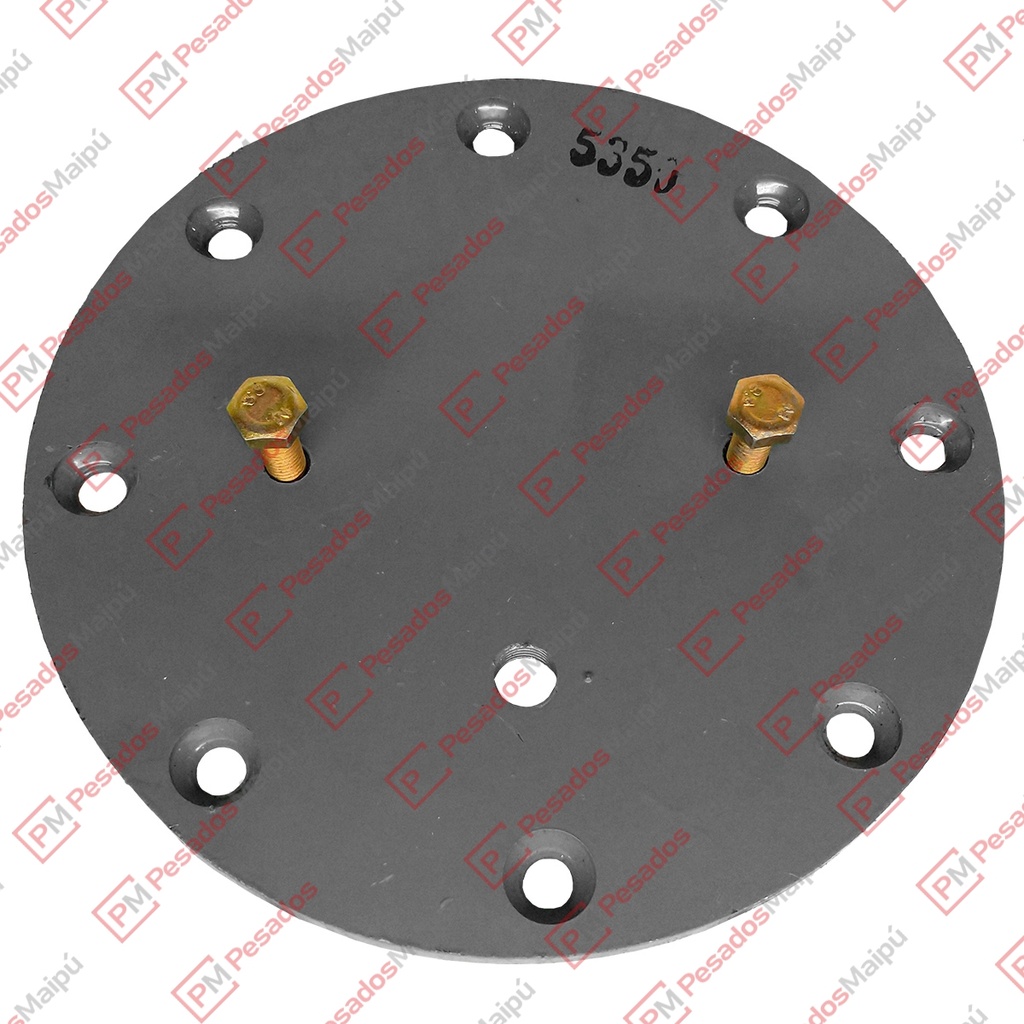 [08953] PLATINA FUELLE SUSPENSION (5350)
