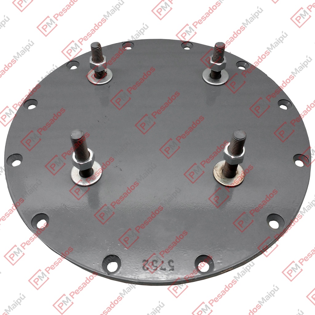 [08963] PLATINA FUELLE SUSPENSION (5752)