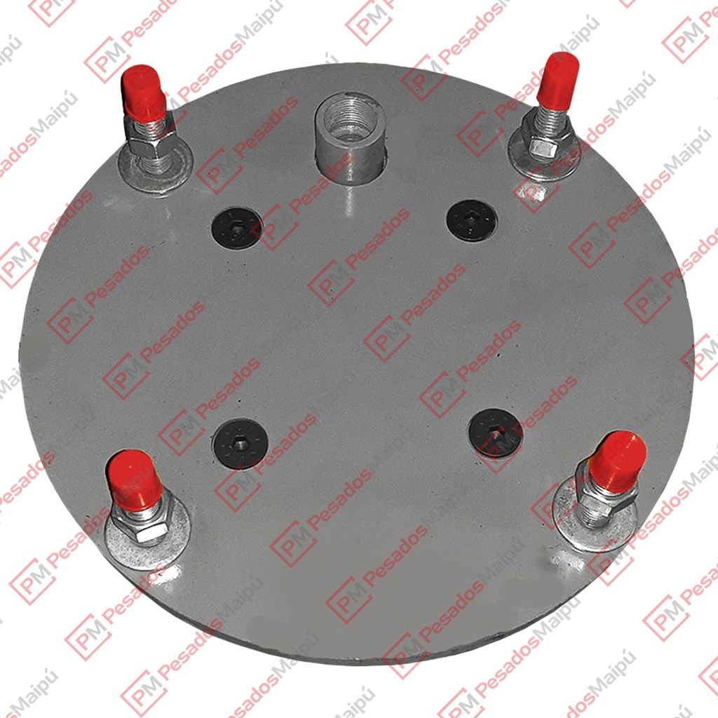 [08971] PLATINA SUPERIOR P/25XX REFORMA MALDONADO 4 (4530)