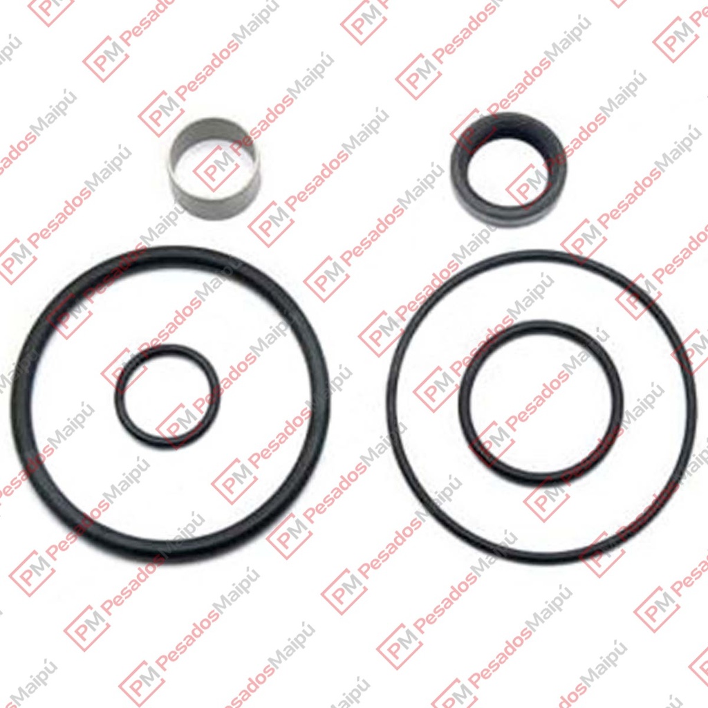 REPARACION ALTA Y BAJA SCANIA (28436) 111/112 113 10 MARCHAS (QA-953) (7954) (244441)