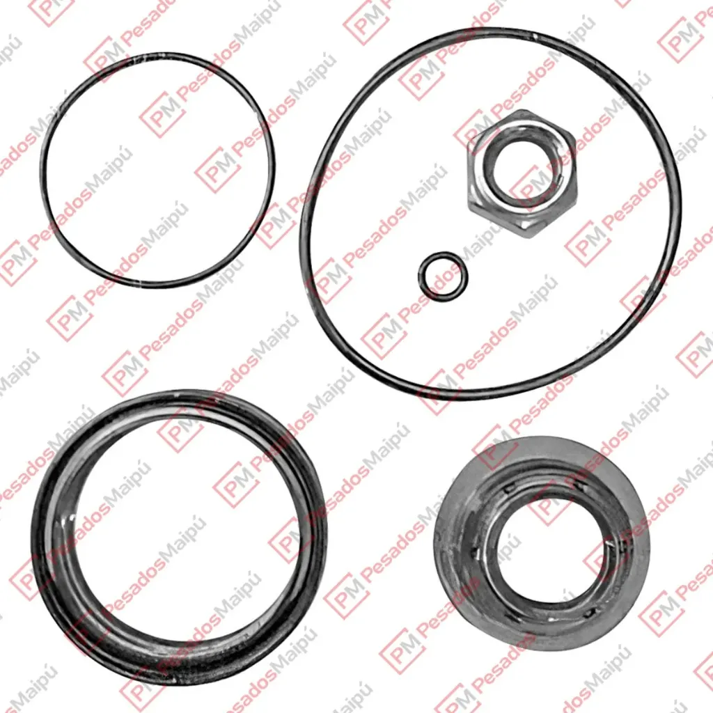 REPARACION 1238A CILINDRO ALTA Y BAJA GV ZF 63MM (10854/1) (1295298933)