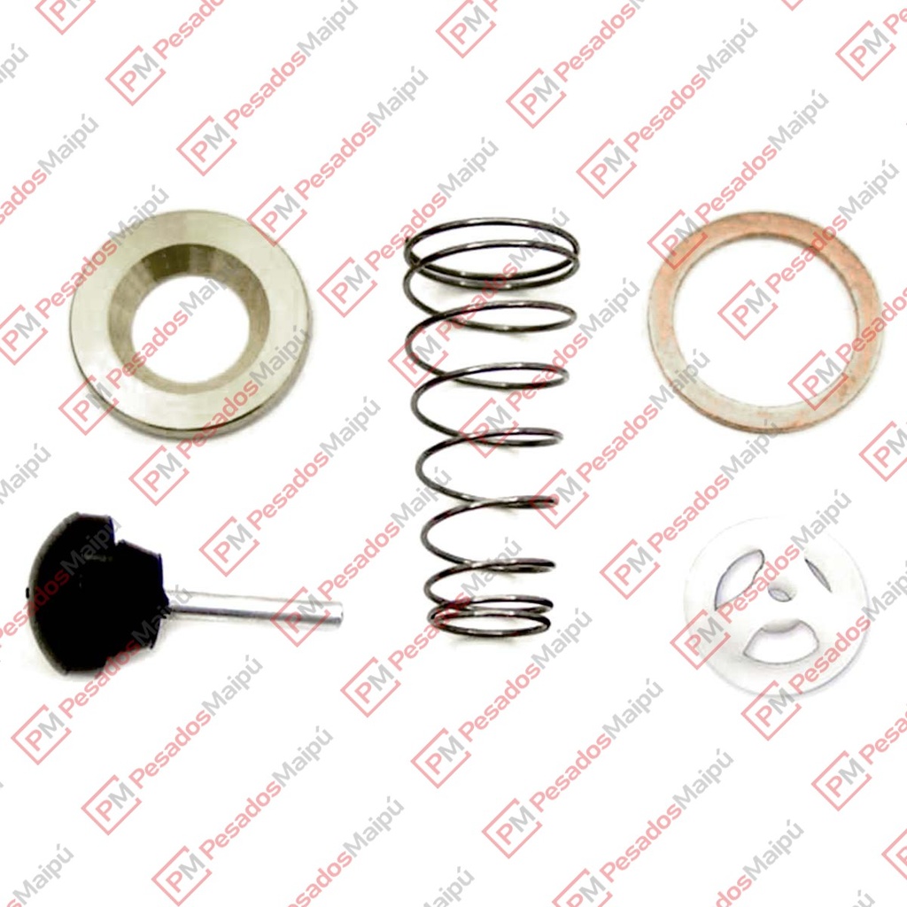 REPARACION 5555 VALVULA ANTIRRETORNO SC 113 (NH 5555) (QA846) (2063)
