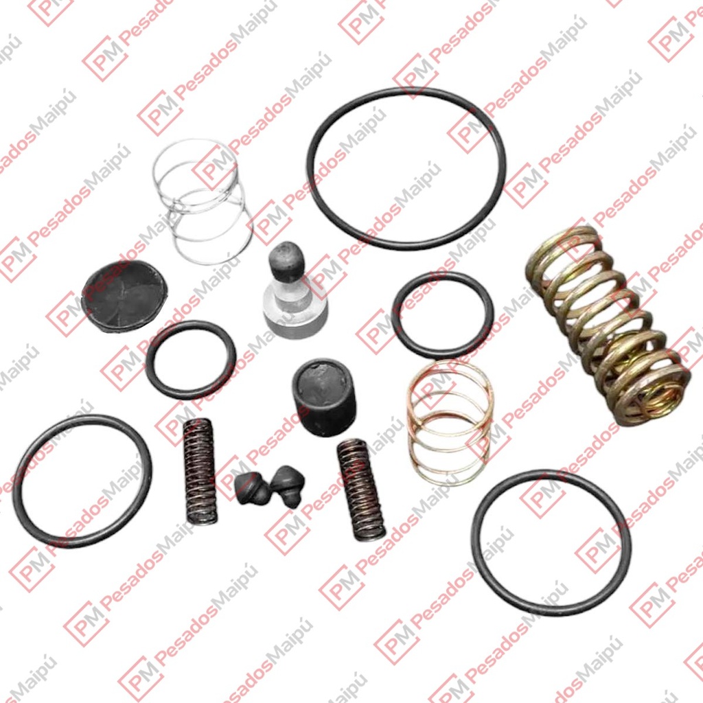 REPARACION VALVULA CONTROL SR-2 (R 7910)