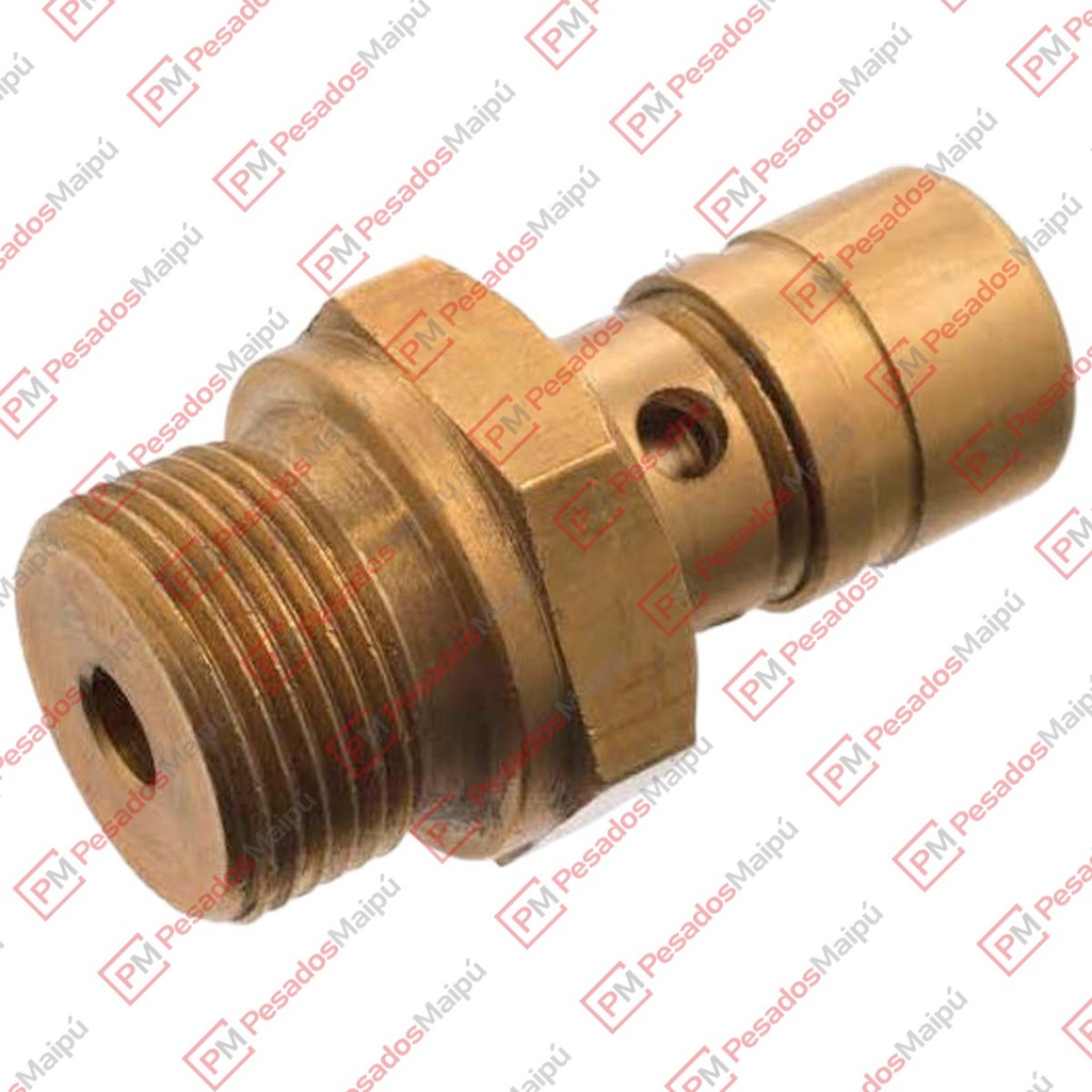 VALVULA SEGURIDAD 22MM 9,5 BAR (22589) SC S4 (1377964) (7589)