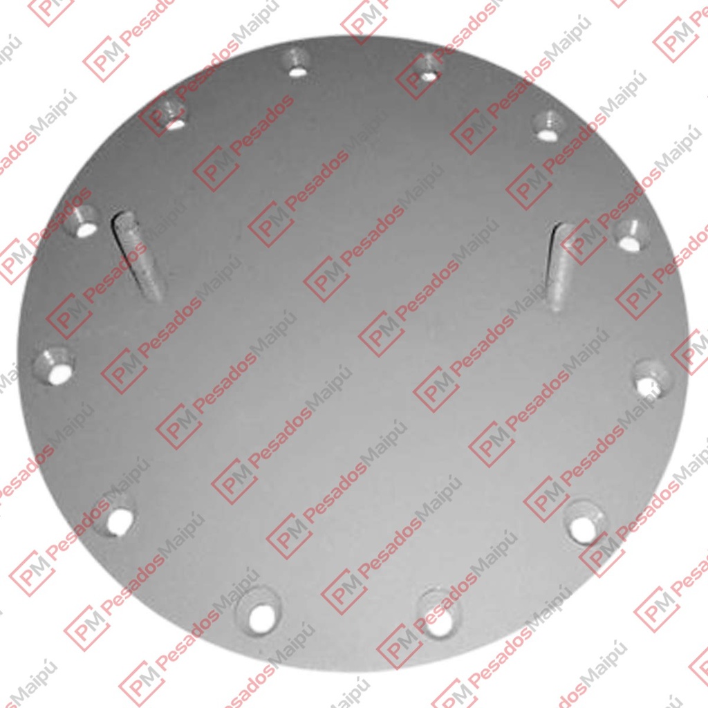 PLATINA FUELLE SUSPENSION (5621)