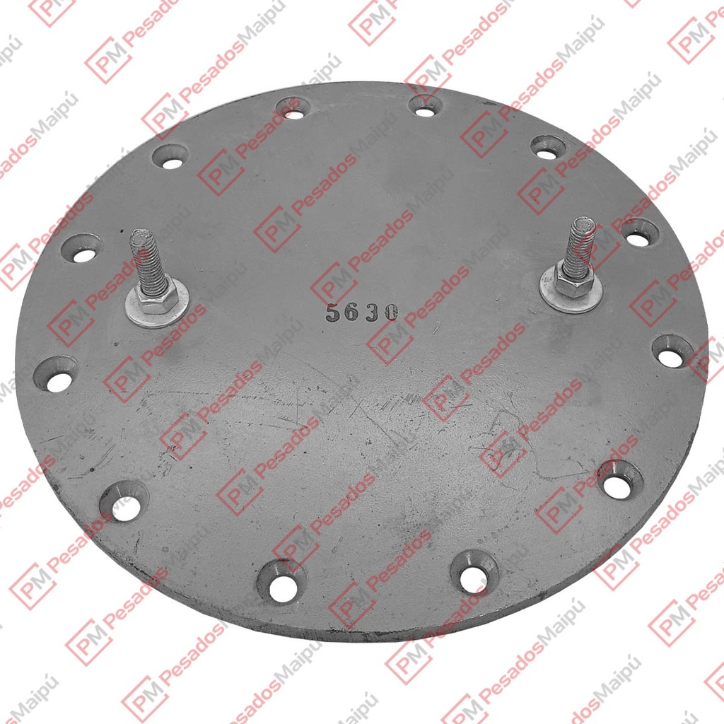 [13890] PLATINA FUELLE SUSPENSION (5630)