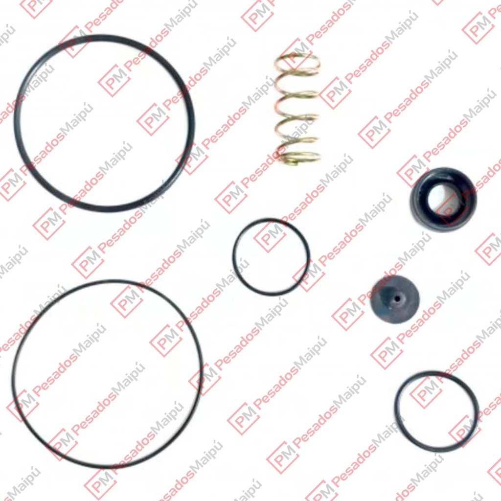 REPARACION 2148 VALVULA RELAY CHATA KNORR (DG 5158)