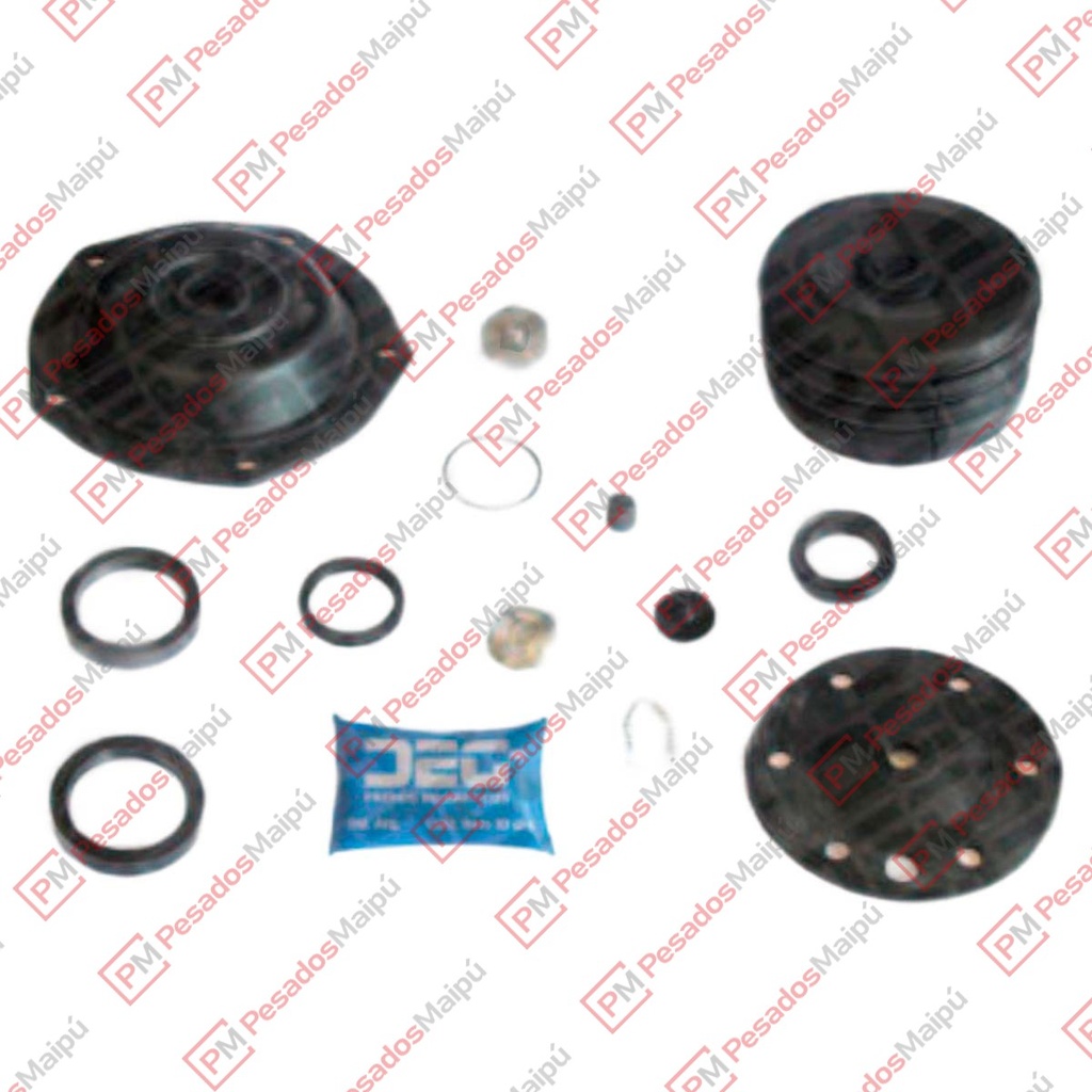 REPARACION 6650 SERVO BENDIX FIAT 619/697 (DG 6650)