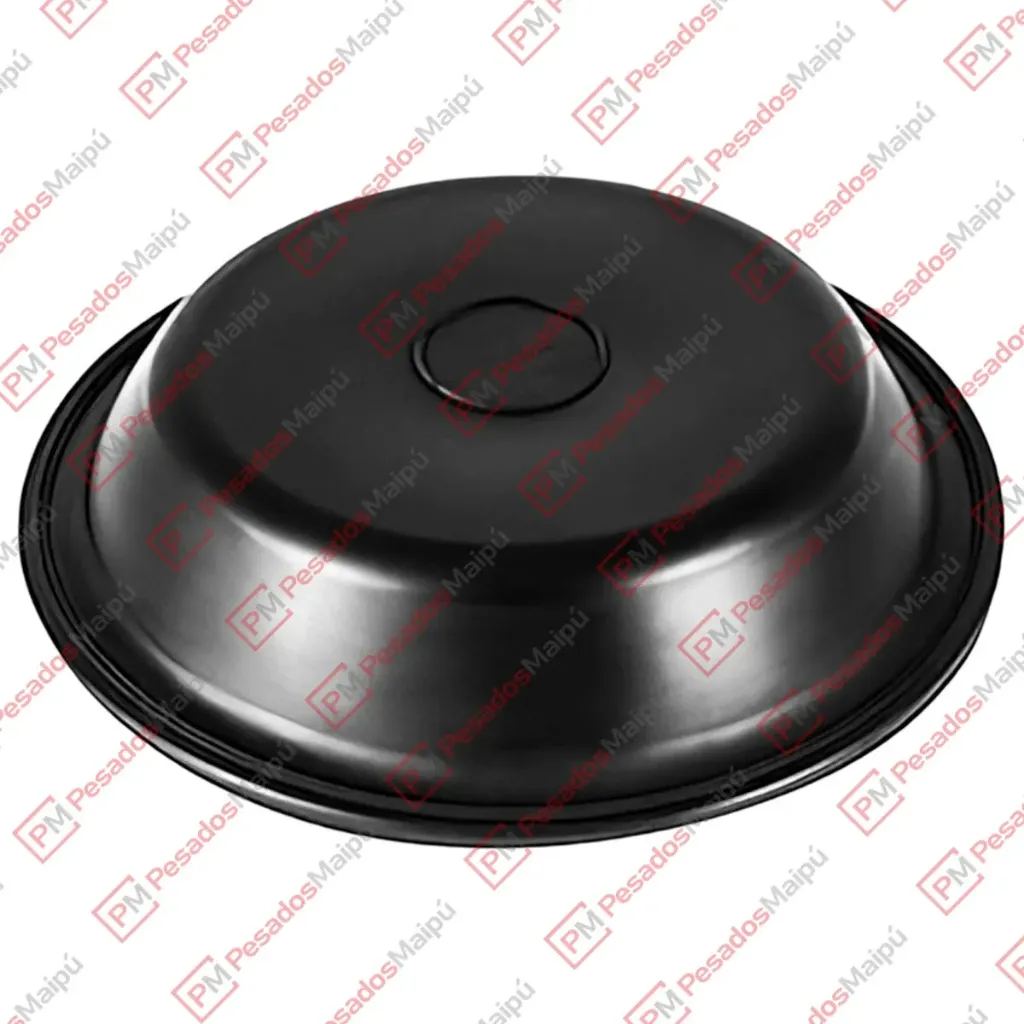 [15303] DIAFRAGMA 30 BENDIX BINS (40110101)