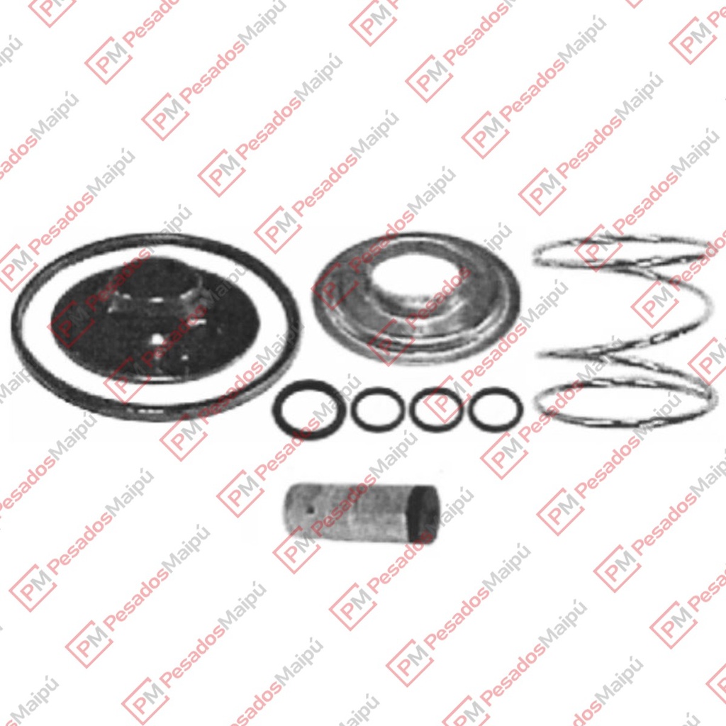 REPARACION VALVULA DESCARGA RAPIDA EJE ELEVABLE (R1691)