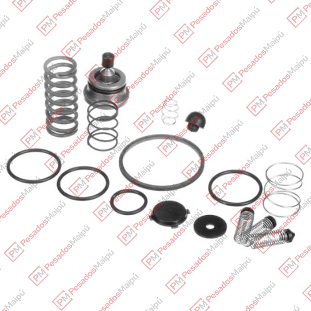 REPARACION VALVULA CONTROL SR-5 (R 7960)