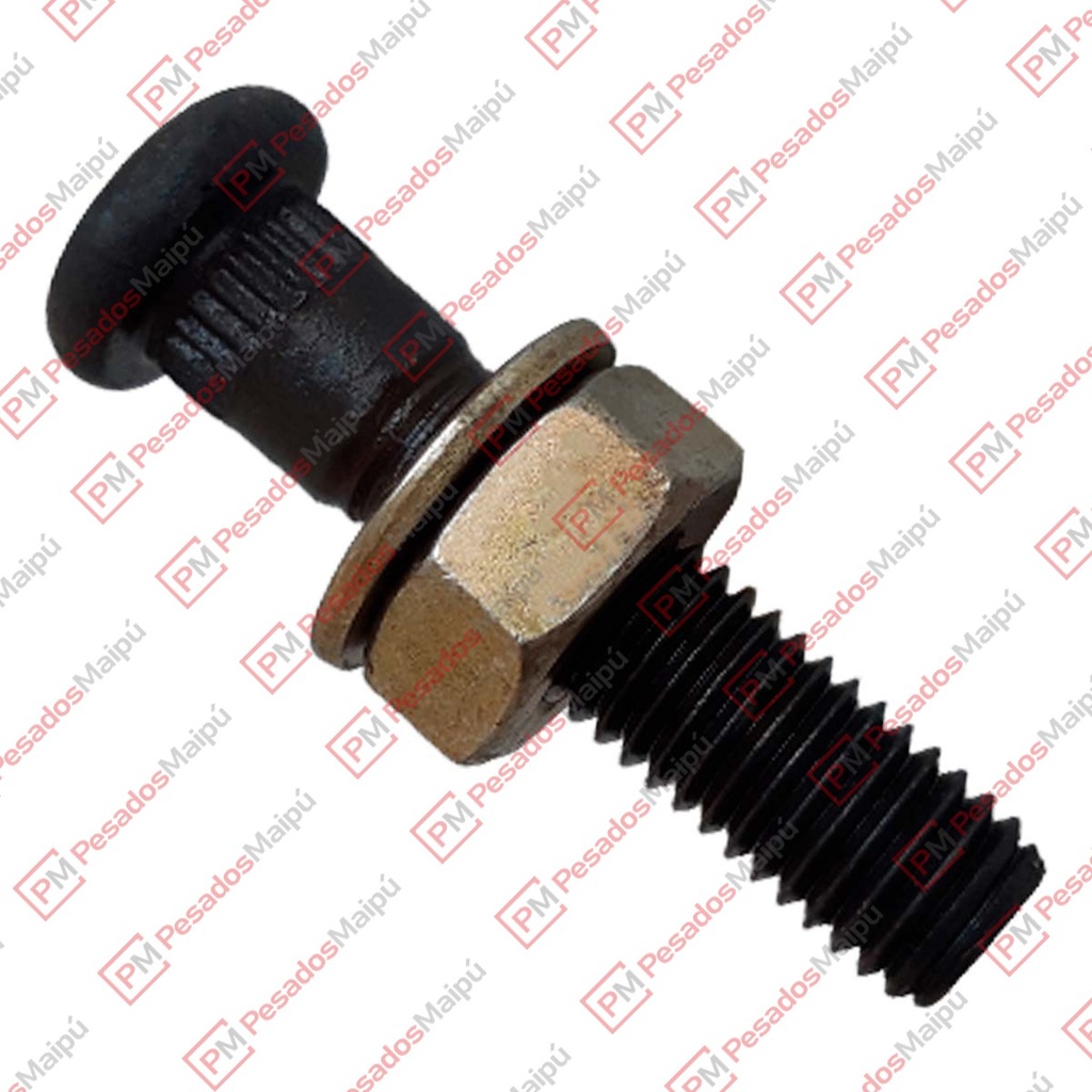 BULON ESP LEVANTA EJE 10X1.35C/TCA Y ARANDELA BU002