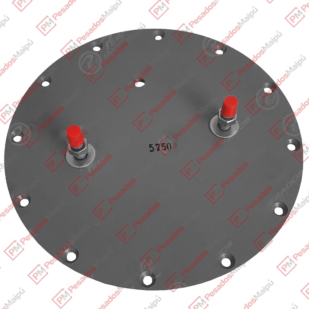 [19567] PLATINA FUELLE SUSPENSION C/2 ESPARR 160MM (5750)