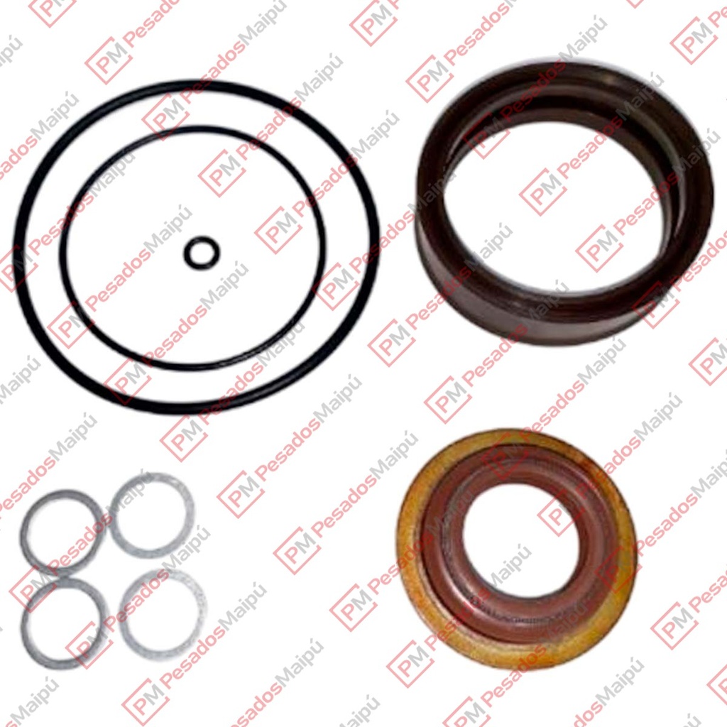 REPARACION 1238A CILINDRO ALTA Y BAJA GV ZF 63MM (1295298933) (01.43.492)
