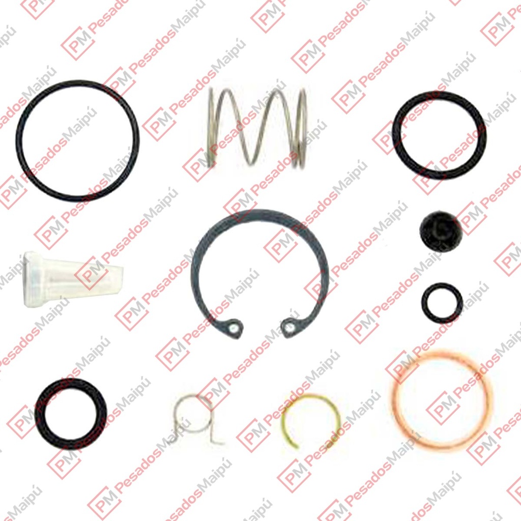 REPARACION 2539 PURGA AUTOMATICA KNORR (28445) (QA-1252) (I 86230)
