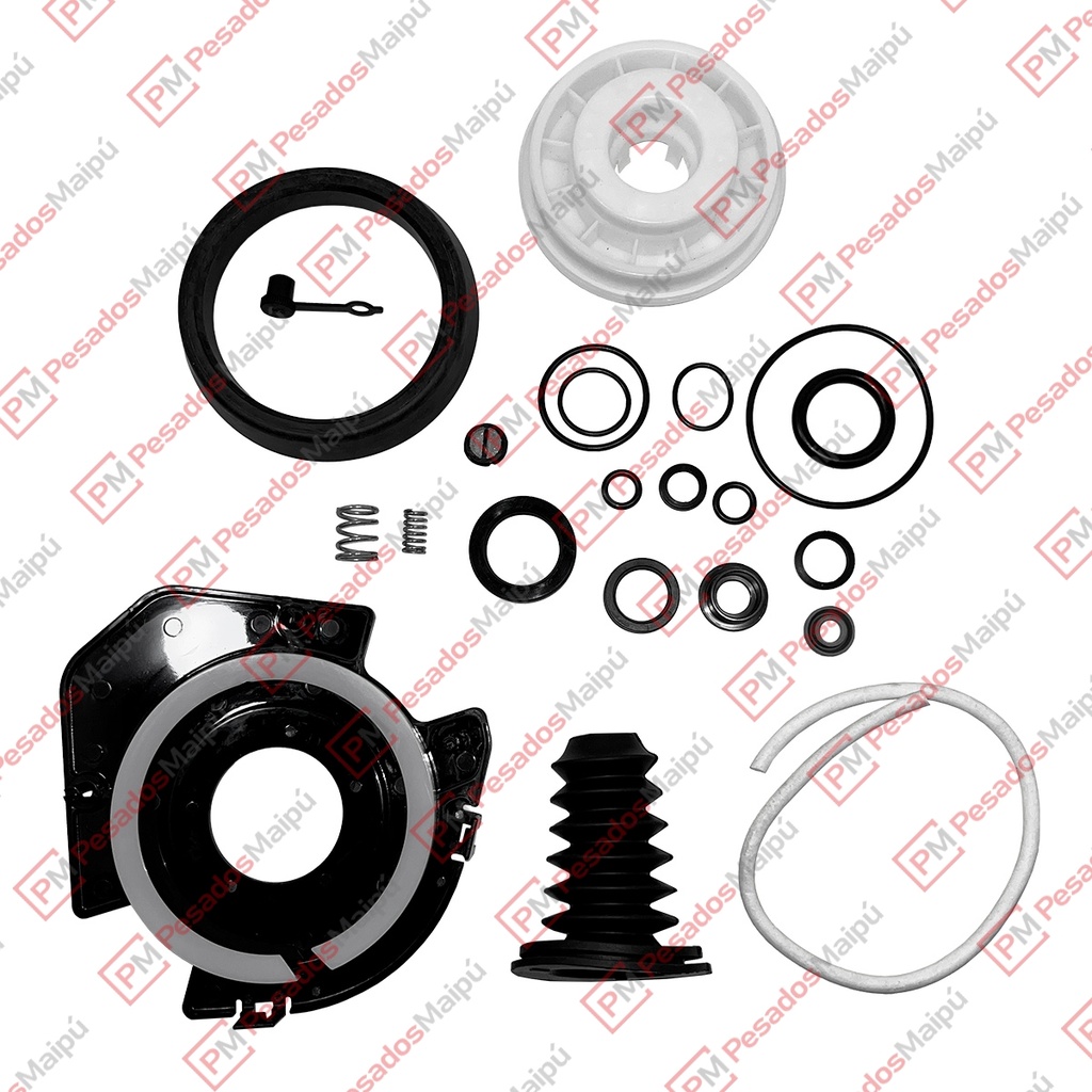 REPARACION 1667 SERVOEMBRAGUE O 500 ELECTRONICO (24576) COMPLETA
