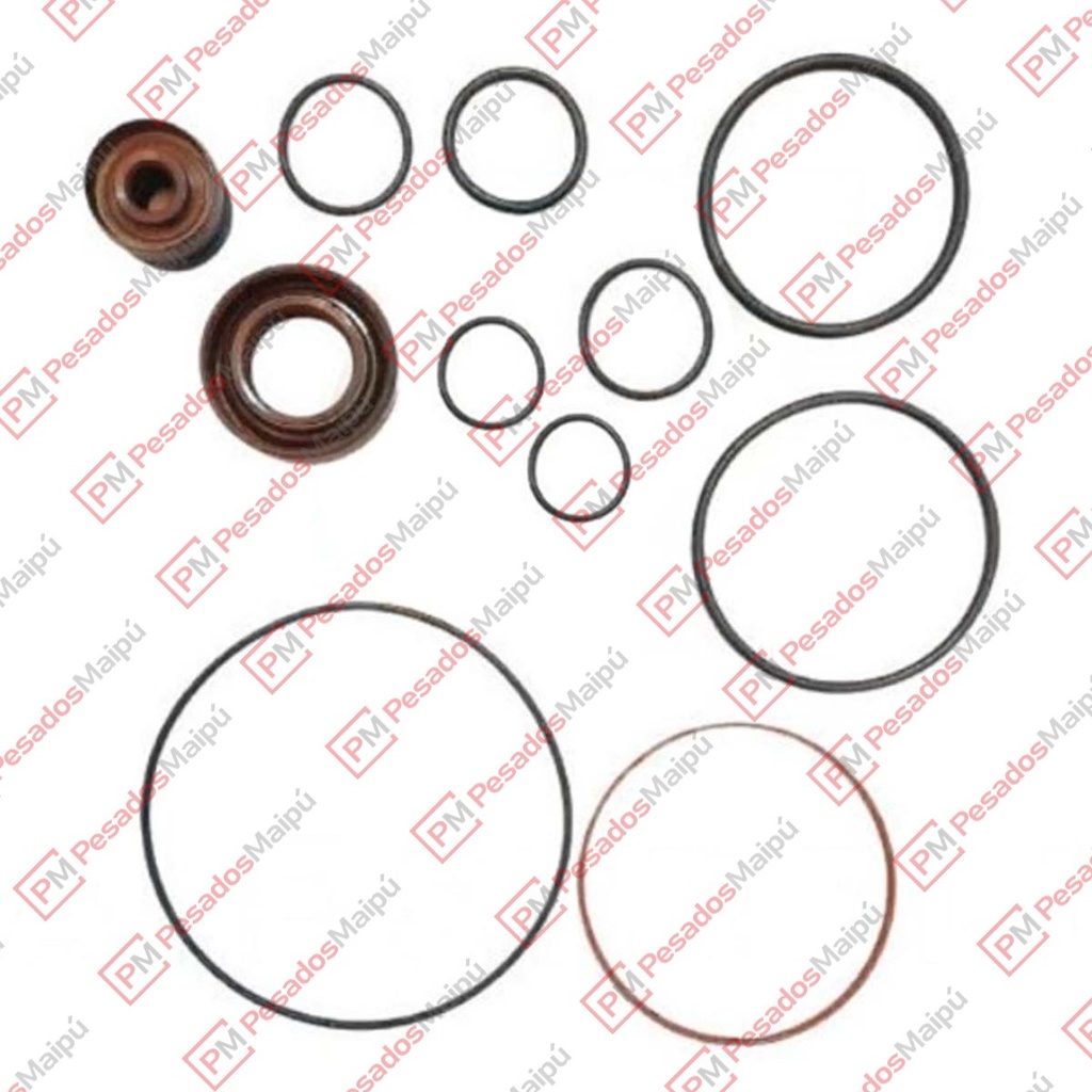 [23009] REPARACION BOMBA HIDRAULICA 8695 IVECO CURSOR STRALIS TRAKKE (JSA5051)