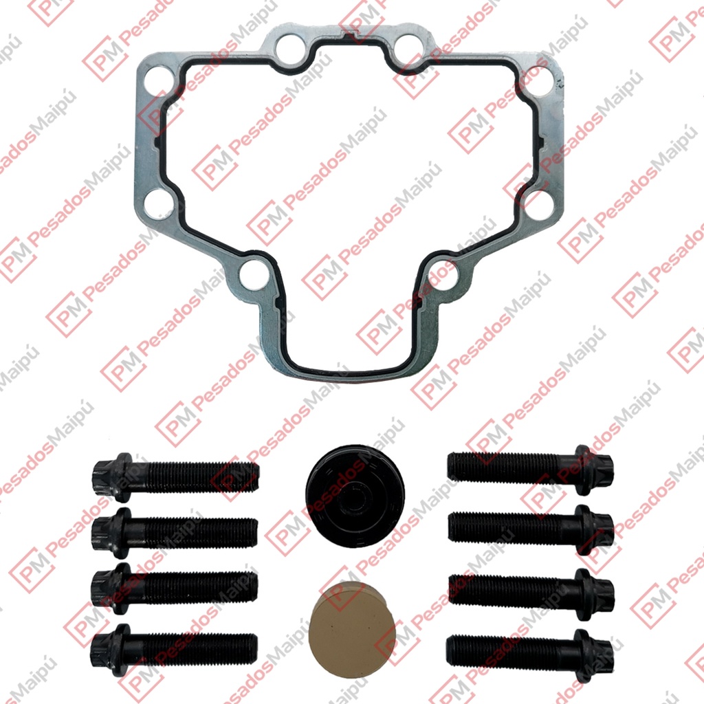 [24803] KIT JUNTA Y GOMAS TAPA CALIPER PAN 17 / 19 / 22  (22677) (T8360)