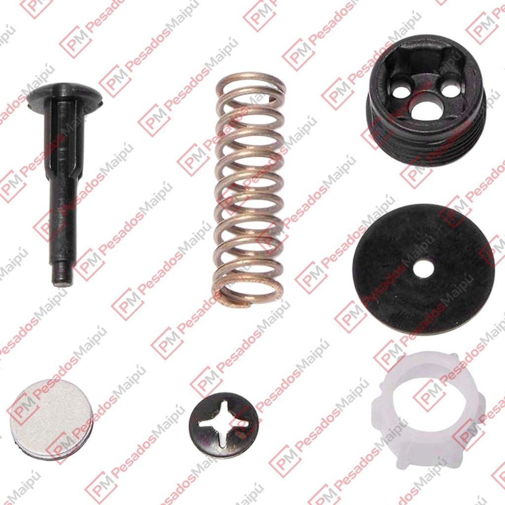 REPARACION VALVULA RETENCION APS SCANIA PGR (28240)(QA842)