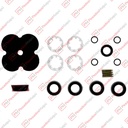 REPARACION 2144 PROTECTORA 4 CIRCUITOS KNORR MENOR (DG 2144) (99365-2)